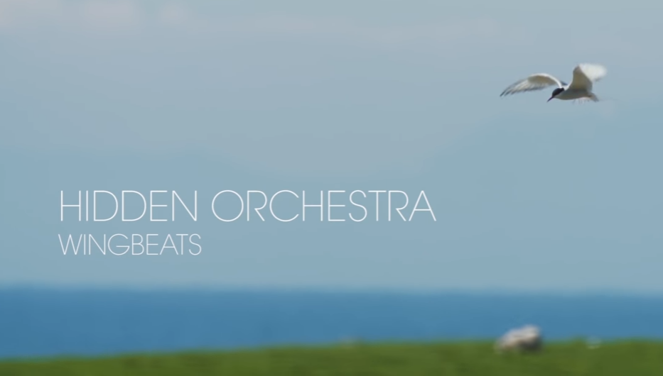 Hidden Orchestra