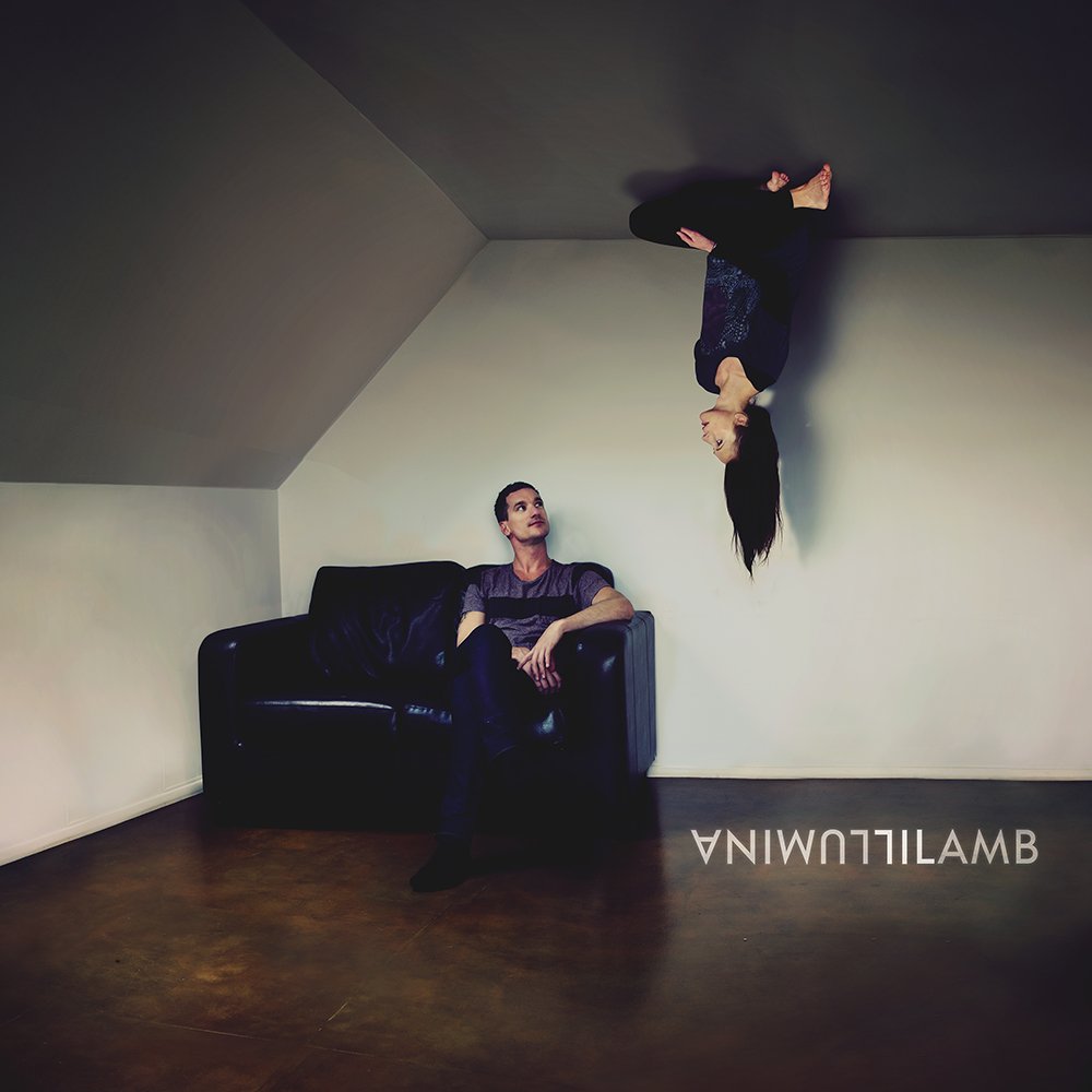 lamb - illumina