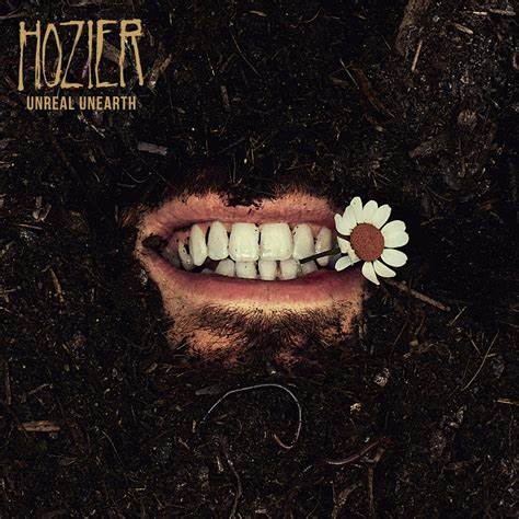 Po 4 metų pertraukos naują albumą išleido Hozier