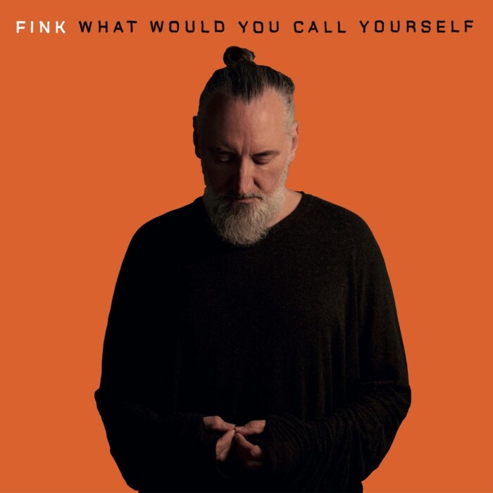 Fink – What Would You Call Yourself